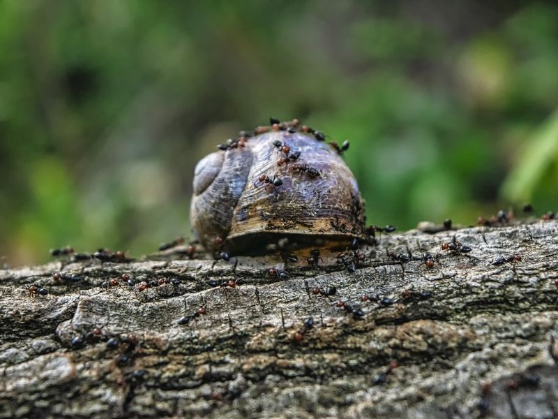 Design Sem Nome 12 1