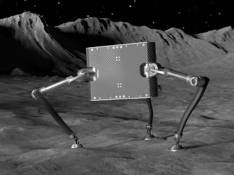 Design Sem Nome 13 1