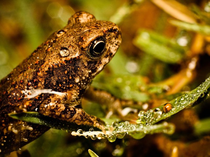 Design Sem Nome 15 1