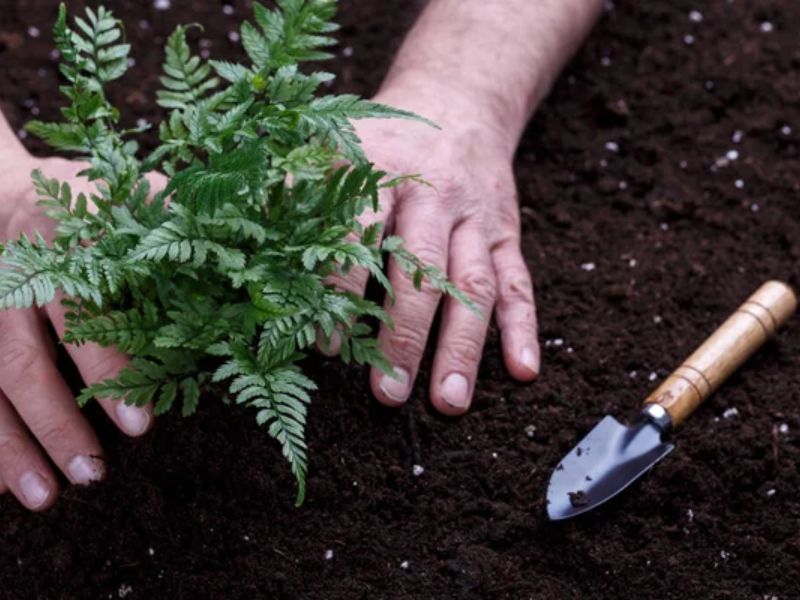 Design Sem Nome 2024 04 02T103702.683 1