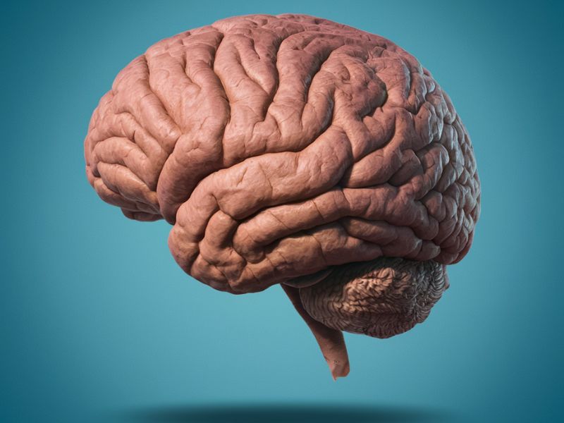 Newer Generations with Larger Brains are Influencing Dementia