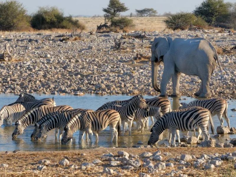 Design Sem Nome 2024 04 16T054445.683