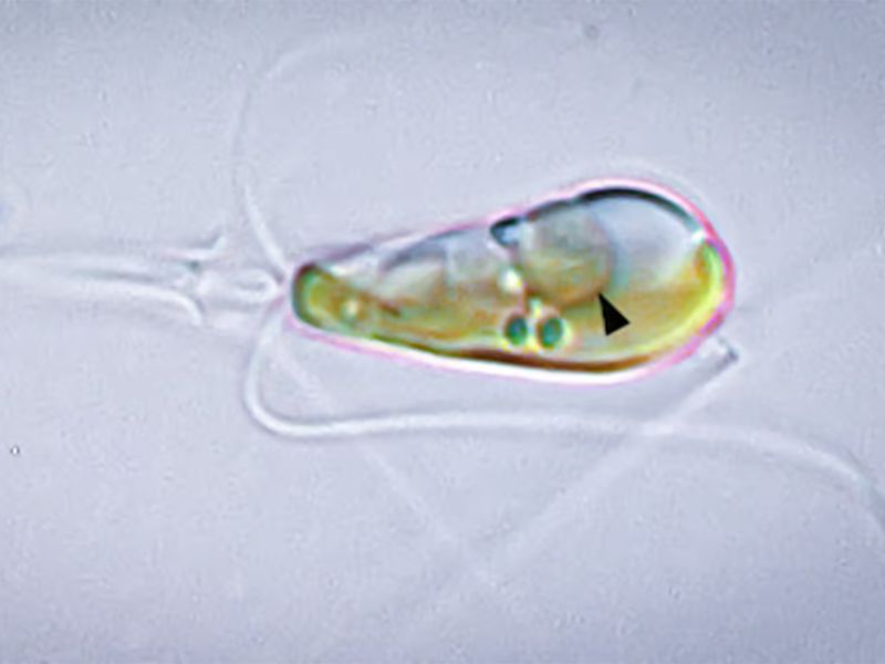 Design Sem Nome 2024 04 18T041531.032