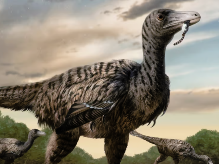 Colossal Raptor Dinosaur Possessed Legs that Surpassed your Height ...