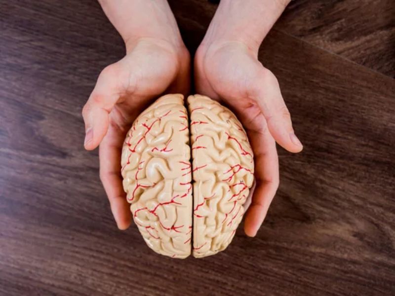 The Project Page Showcases Numerous Examples Of Talking And Singing Videos Created From A Single Image Paired With An Audio Track. Additionally The Tool Offers Optional Settings To Adjust Facial 1