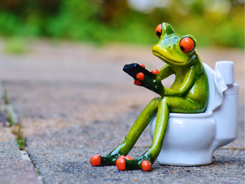 The Importance of the Anus in Animal Evolution