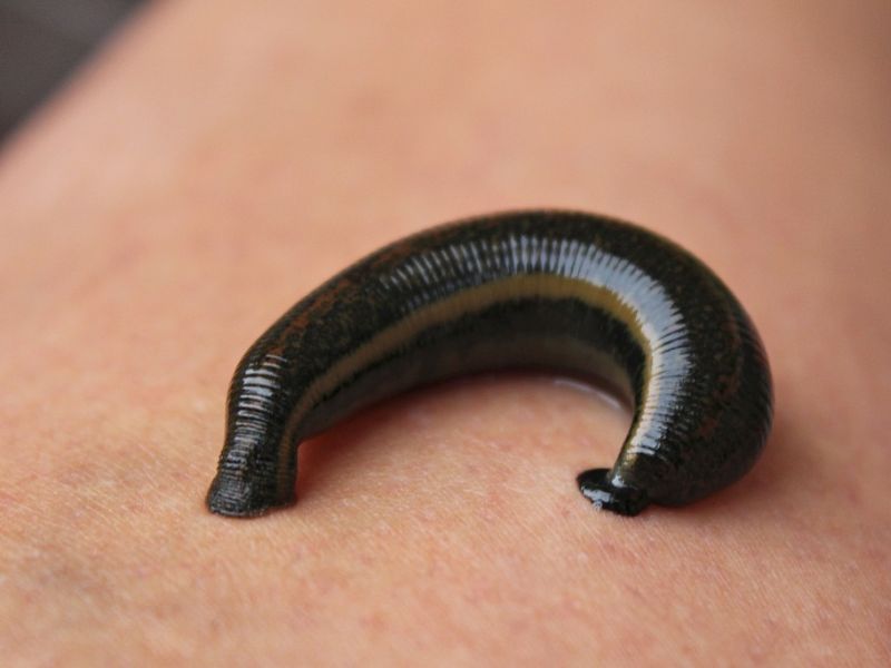 Design Sem Nome 2024 05 03T042538.684