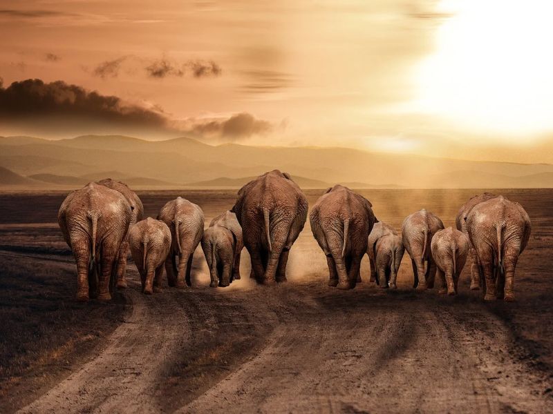 Design Sem Nome 2024 06 10T040951.939