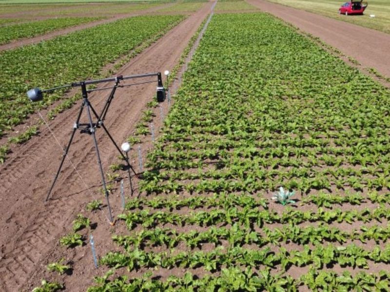 Design Sem Nome 2024 06 20T044537.815