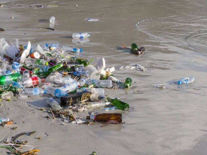 Httpscdn.pixabay.comphoto201905031555leaves 4176219 1280 1.jpg 1 1