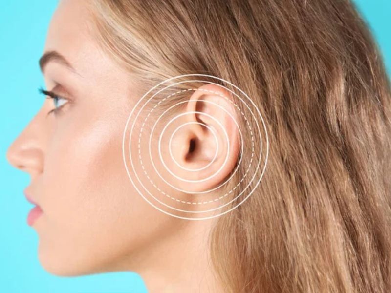 Httpscdn.pixabay.comphoto201905031555leaves 4176219 1280 1.jpg 6 1