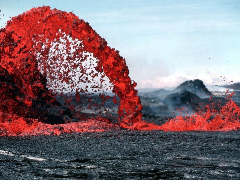 Httpscdn.pixabay.comphoto201905031555leaves 4176219 1280 1.jpg 7 1