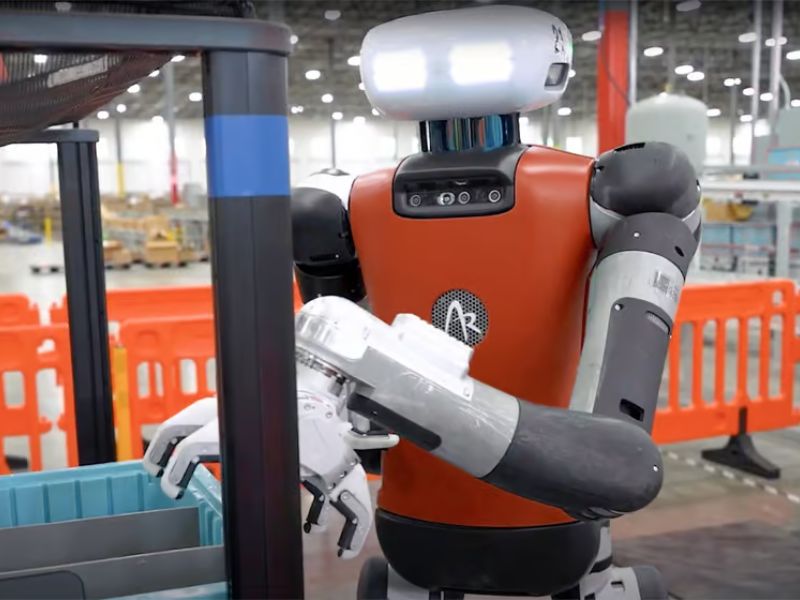 Httpscdn.pixabay.comphoto201905031555leaves 4176219 1280 1.jpg 8 1