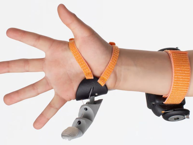 Httpscdn.pixabay.comphoto201905031555leaves 4176219 1280.jpg 3