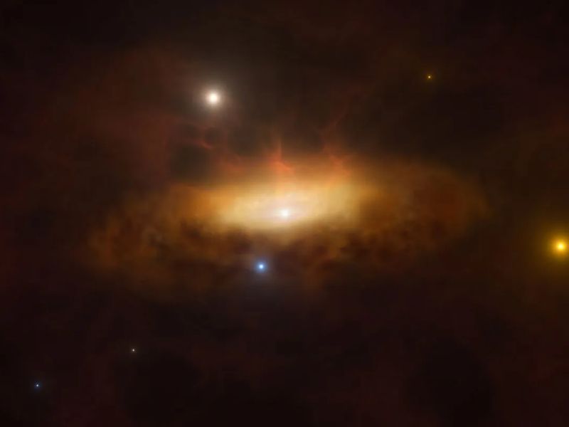 Httpscdn.pixabay.comphoto201905031555leaves 4176219 1280.jpg 8