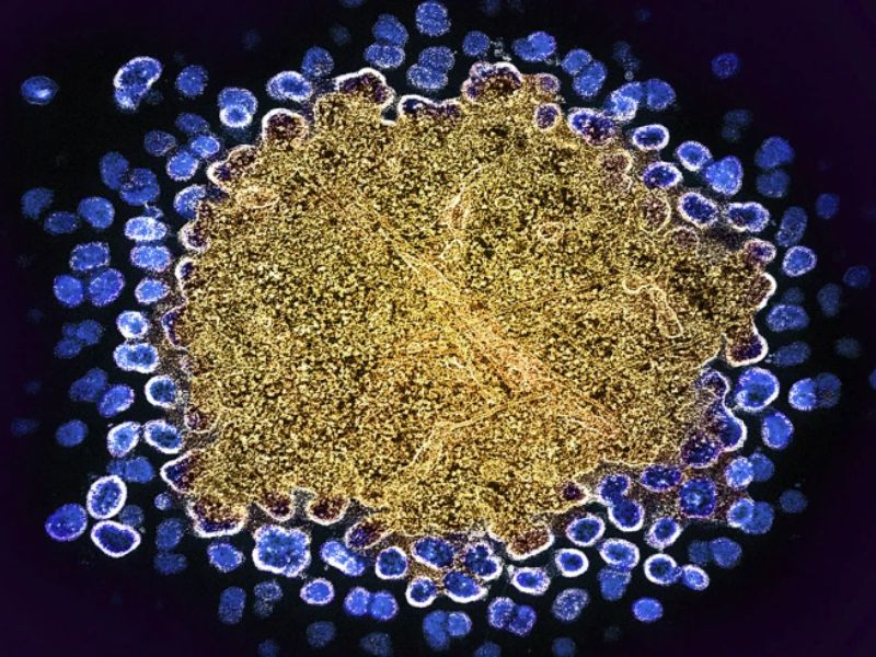 Design Sem Nome 2024 07 30T024312.413