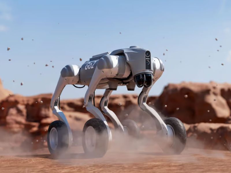 Design Sem Nome 2024 07 31T044015.776