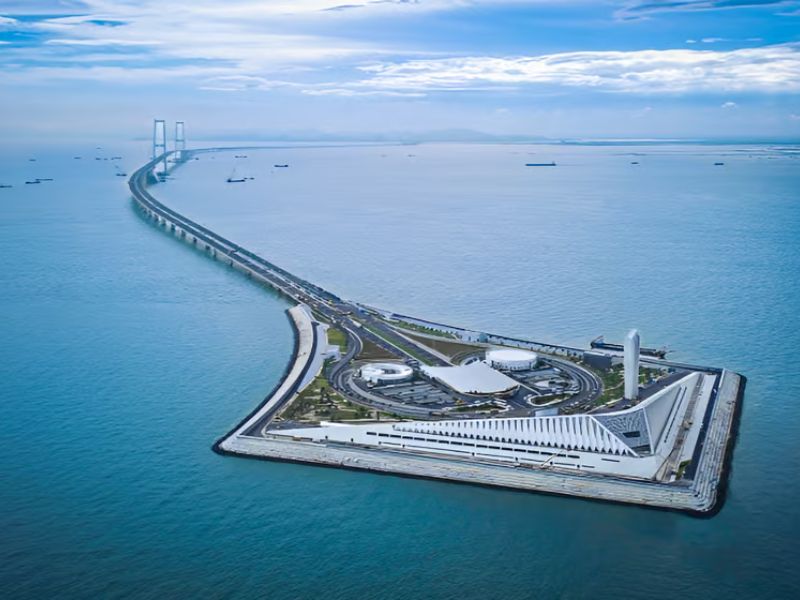 Httpscdn.pixabay.comphoto201905031555leaves 4176219 1280.jpg 13