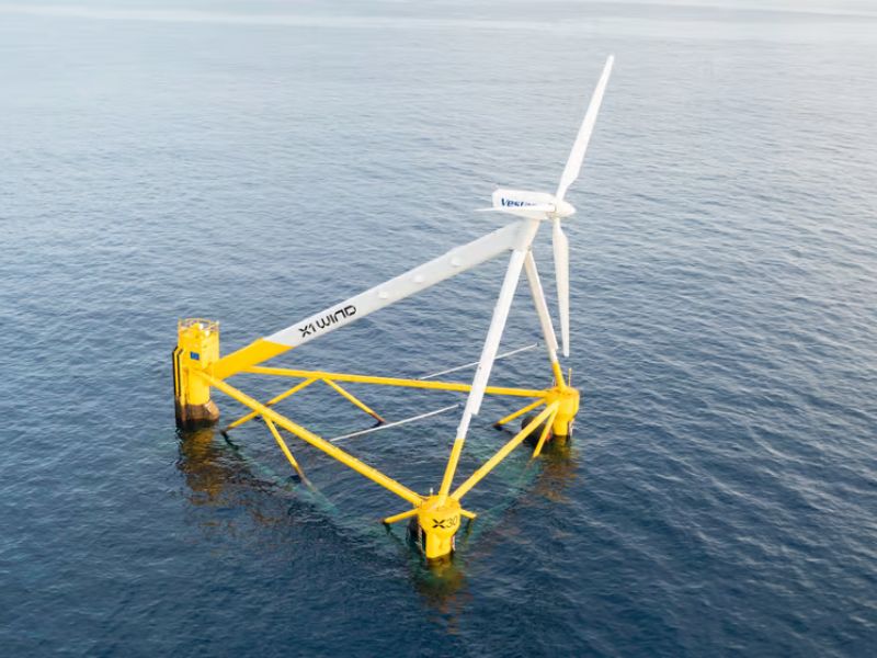 Httpscdn.pixabay.comphoto201905031555leaves 4176219 1280.jpg 17