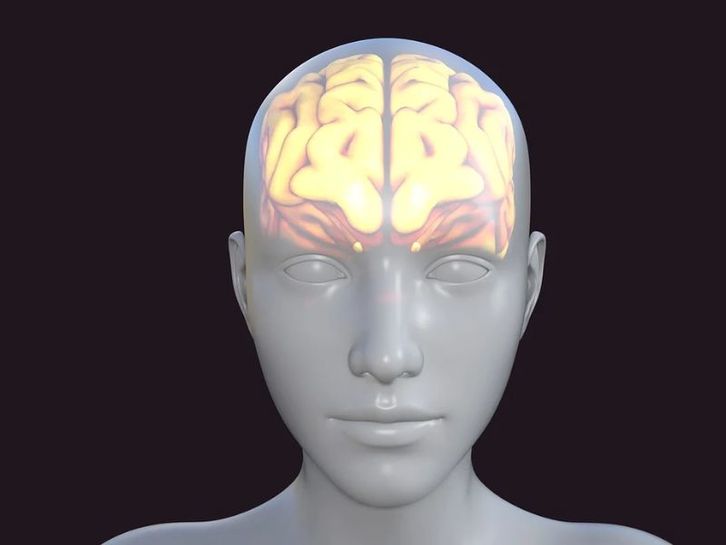 Design Sem Nome 2024 08 12T022600.121