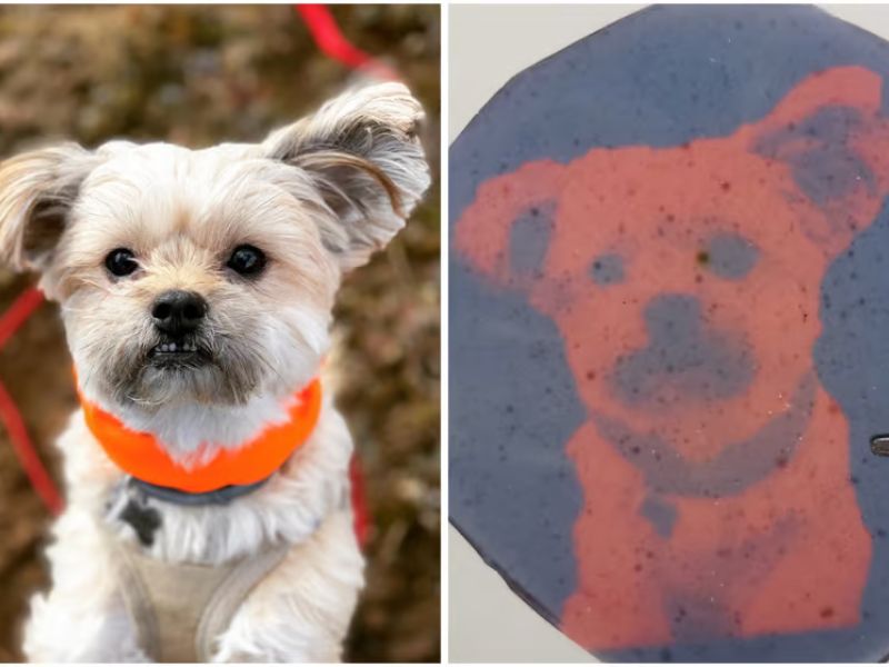 Design Sem Nome 2024 08 12T034654.115