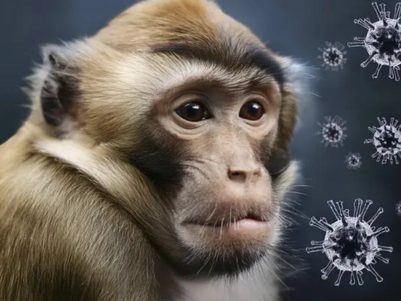 WHO Declares Global Emergency Over New Mpox Strain