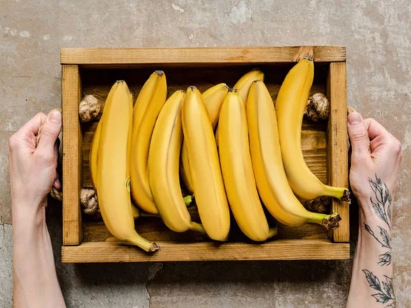 Design Sem Nome 2024 08 19T050314.107