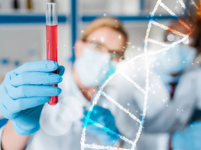 Design Sem Nome 2024 08 26T000332.360