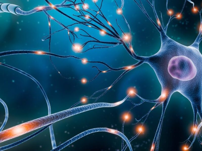 Newly Found Proteins May Explain Alzheimer’s Devastating Effects