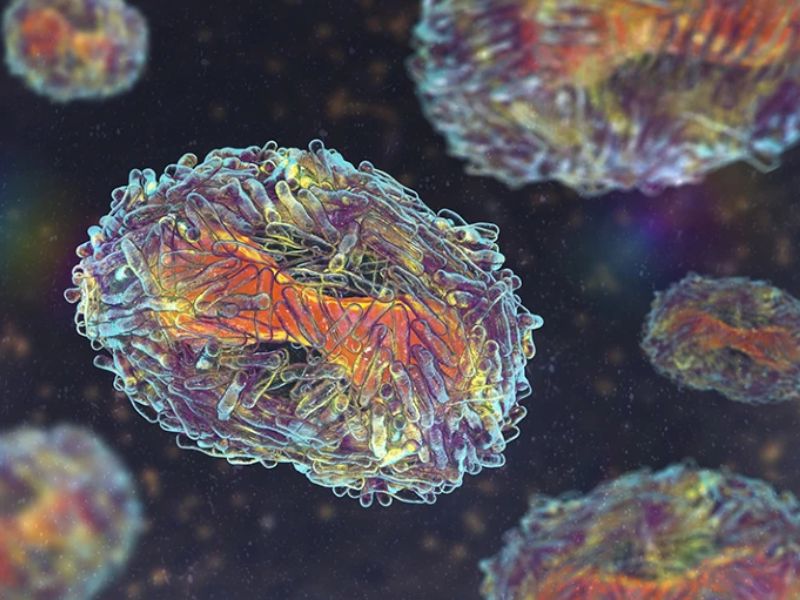 Potential Pathogens That Could Trigger the Next Pandemic