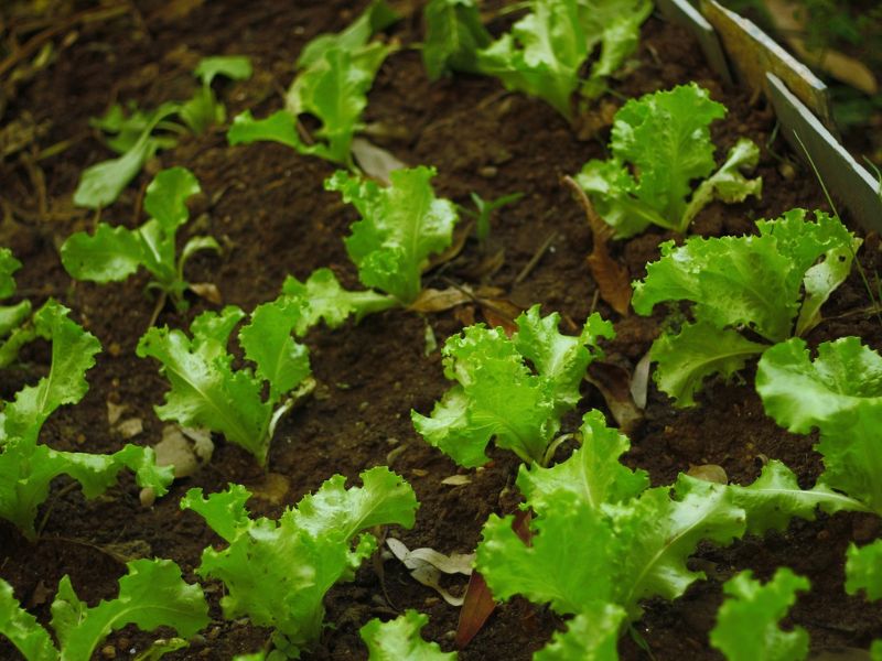 Design Sem Nome 2024 10 02T153327.719