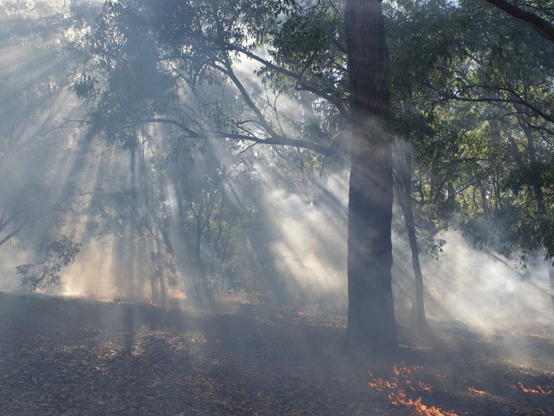 Design Sem Nome 2024 10 02T162222.898