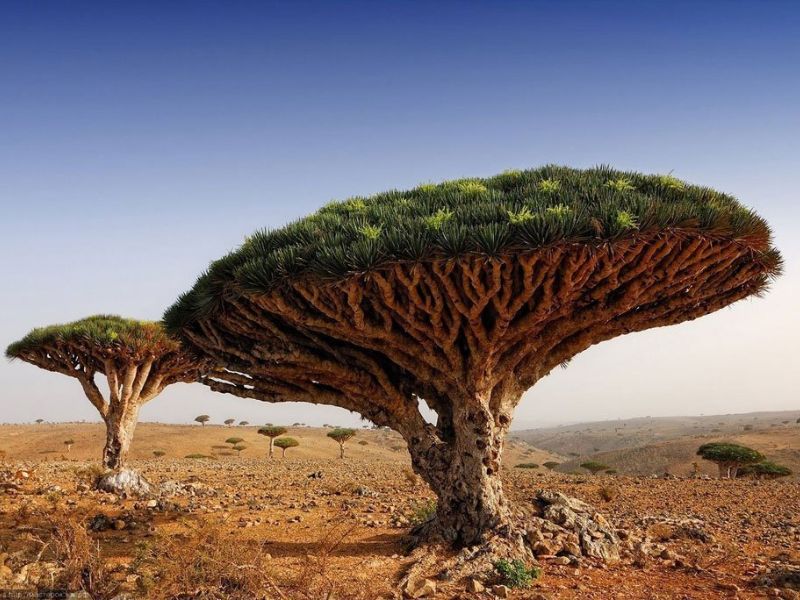 Design Sem Nome 2024 10 10T235853.613