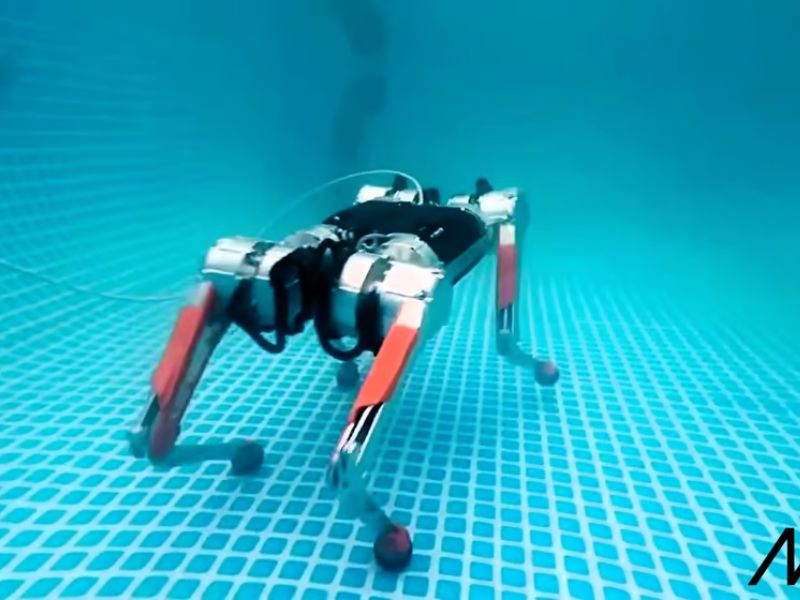 Design Sem Nome 2024 10 21T235603.289