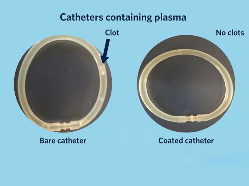 Design Sem Nome 2024 11 15T092126.068