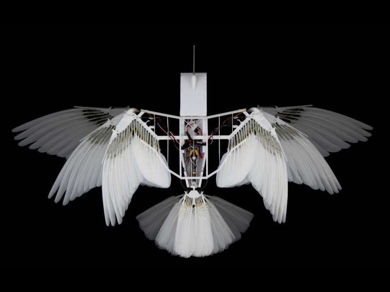 Design Sem Nome 2024 11 21T113319.279