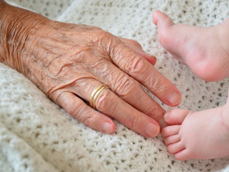 A Common Blood Pressure Medication Prolongs Lifespan and Delays Aging in Animals