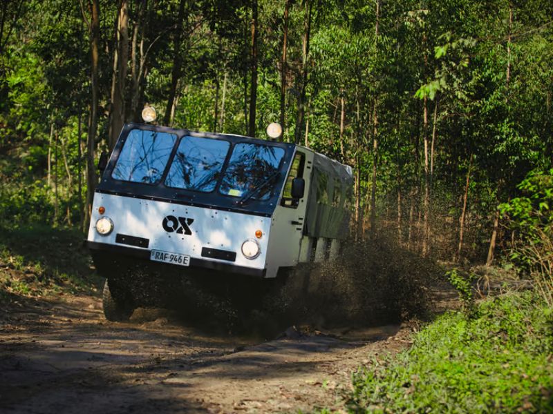 Electric Mini-Truck Tackle Rough Terrain with Ease