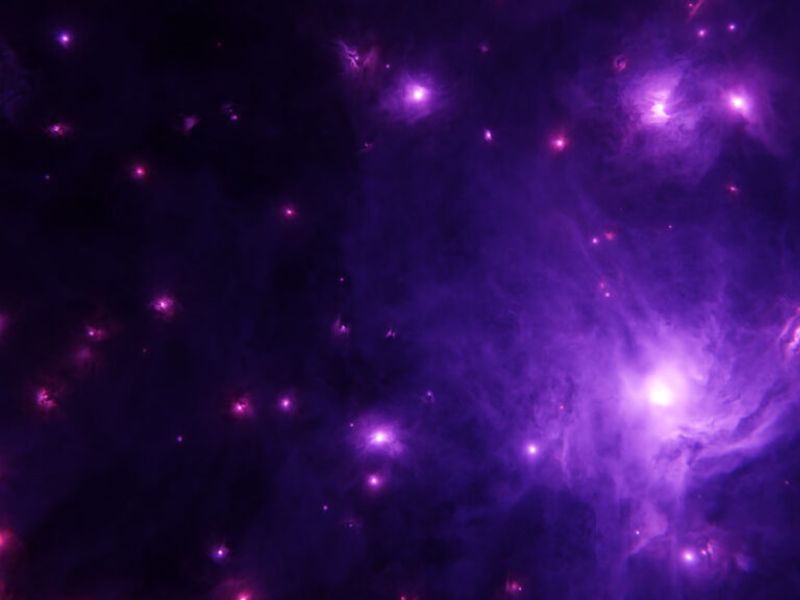 Design Sem Nome 2024 12 13T143306.042