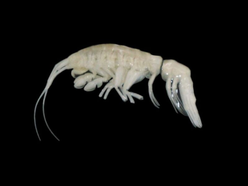 Design Sem Nome 2024 12 17T170551.184