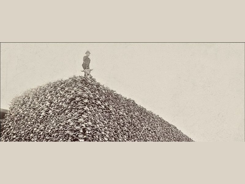 Design Sem Nome 2024 12 19T100726.834