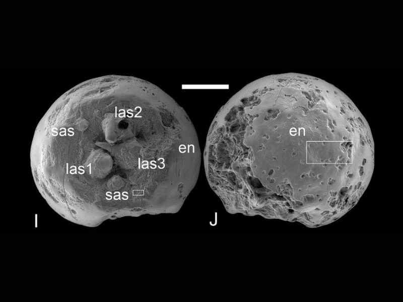 Design Sem Nome 2024 12 30T083617.268