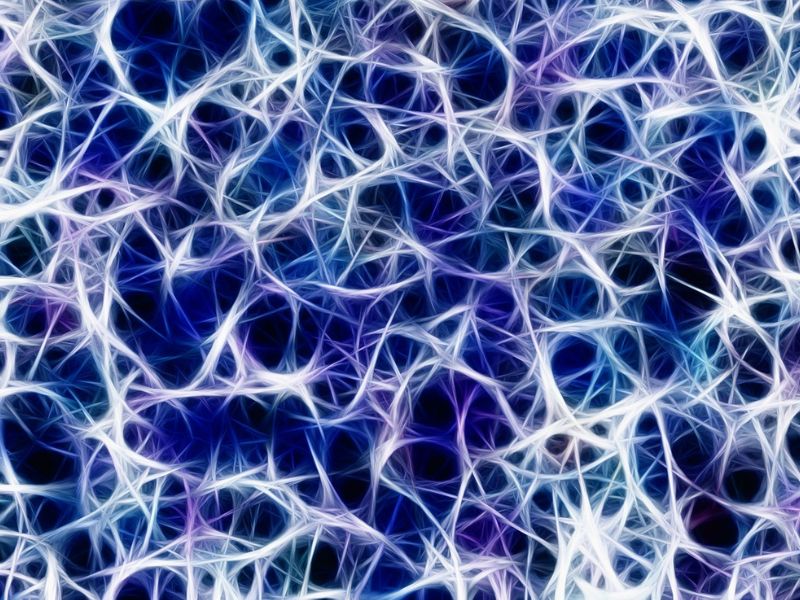 Expert Identifies Irregular Brain Wave Patterns as Potential Indicator of ADHD