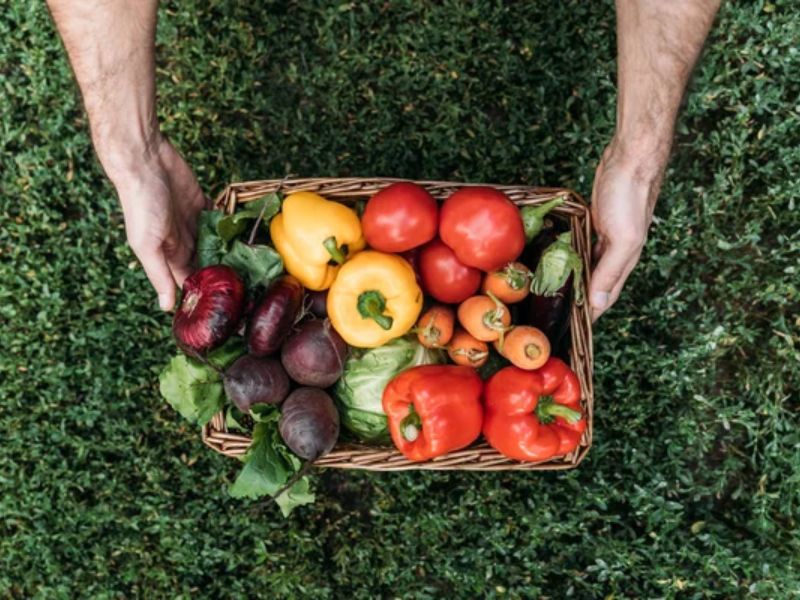 Design Sem Nome 2025 01 05T160214.608