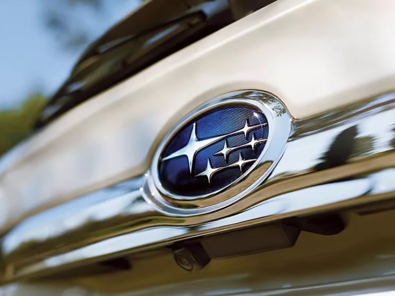 Design Sem Nome 2025 01 07T104229.867