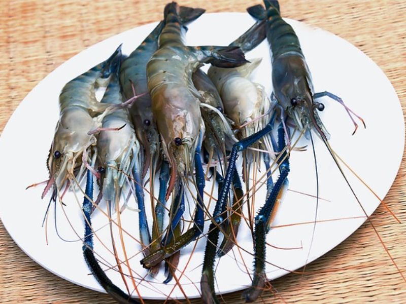 Design Sem Nome 2025 01 10T161844.244