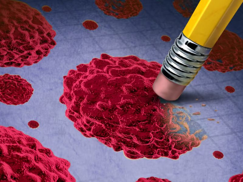 Combination Therapy Trial Nearly Doubles Breast Cancer Cure Rates