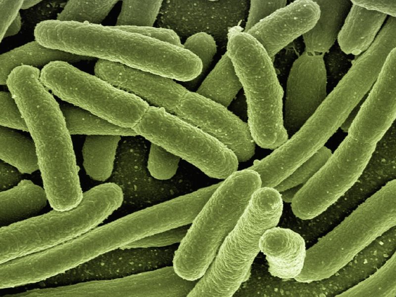 Httpscdn.pixabay.comphoto201610201740aircraft 1756149 1280.jpg 13