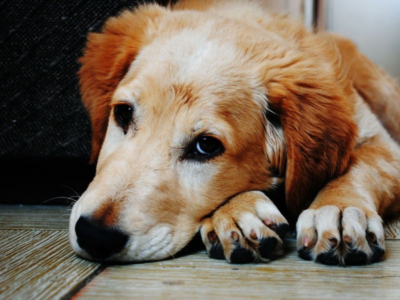 Httpscdn.pixabay.comphoto201610201740aircraft 1756149 1280.jpg 25