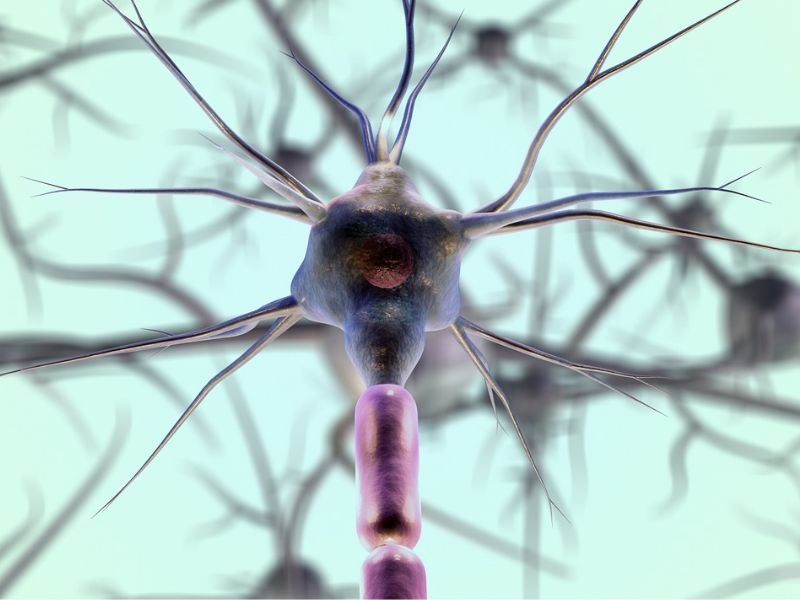 Httpscdn.pixabay.comphoto201610201740aircraft 1756149 1280.jpg 36